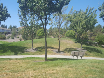 Park with large trees, green lawn, and wooden bench on sunny day