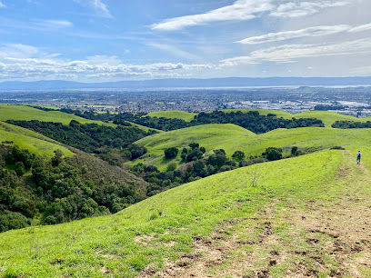Rolling green hills and valleys with distant cityscape under blue sky at Garin Regional Park