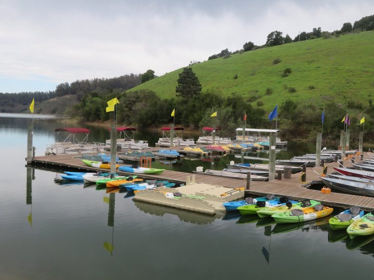 Marina with colorful kayaks and boats docked at Anthony Chabot Regional Park lake