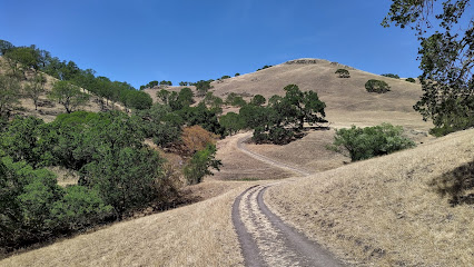 Scenic hillside with winding dirt path, oak trees, and golden grass in Diablo Foothills