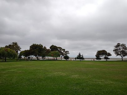 Open green field with mature trees and overcast sky in Livermore, CA area