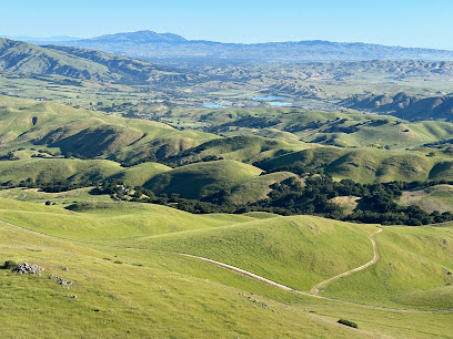Rolling green hills and valleys of Mission Peak Regional Preserve in the Tri-Valley area