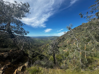 Scenic overlook of rolling hills and valleys in Diablo area with oak trees and grassland