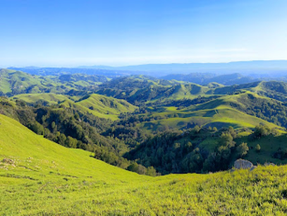 Rolling green hills and forested valleys under clear blue sky in Tri-Valley region