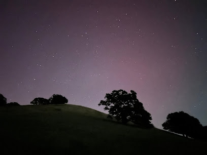 Silhouetted rolling hills and trees under a starry night sky with purple aurora glow