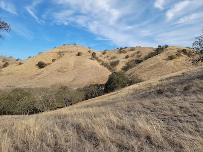 Rolling golden hills with scattered oak trees under blue sky, typical California landscape