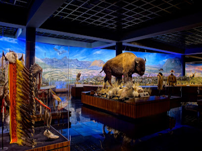 Museum diorama with stuffed bison and Native American artifacts displayed against landscape backdrop