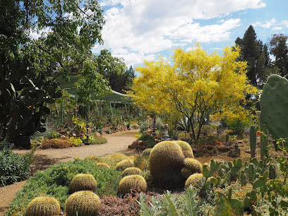Desert garden landscape with barrel cacti, flowering shrubs, and shade trees