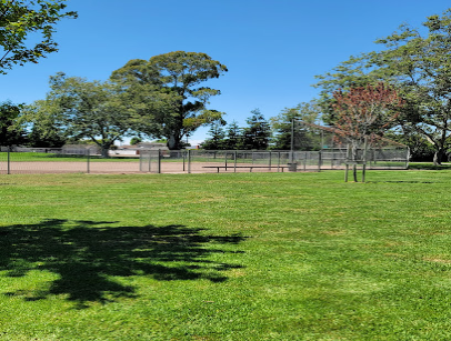 Well-maintained residential lawn with mature trees and fence in suburban neighborhood