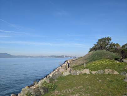Grassy hillside with rocky shoreline overlooking calm blue water and distant hills