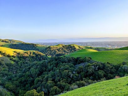 Rolling green hills and forested valleys in Tri-Valley region with distant city lights
