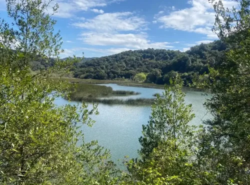 Scenic water body surrounded by lush green vegetation and forested hills under blue sky