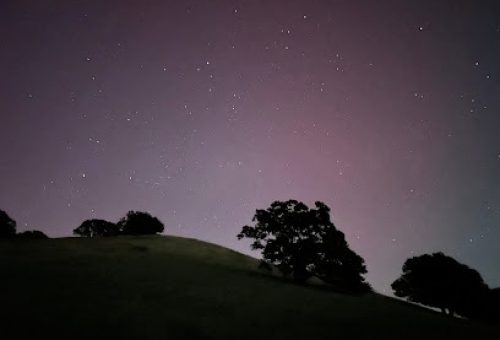 Silhouetted rolling hills and trees under a starry night sky with purple aurora glow